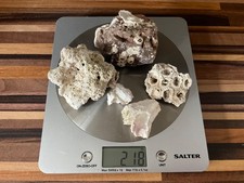 Dry Reef Coral and Rock Bundle