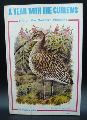 Year with the curlews life - year, curlews: