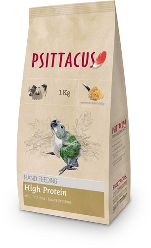 Psittacus hand rearing - psittacus, high