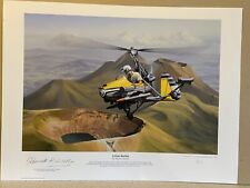 Wallis signed aviation art
