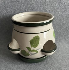 Stoneware Indoor Herb Planter Succulent Garden Plant Pot Basil Design