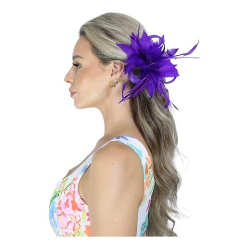 Ladies feather fascinator - ladies,