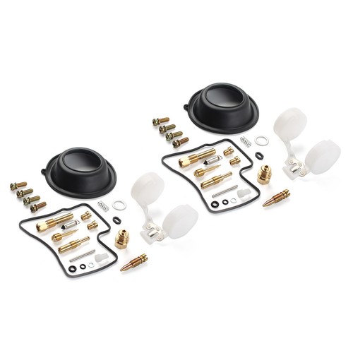 Carburetor repair kit - carburetor, float