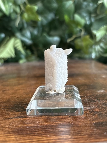 Danburite chalcedony on - w/,