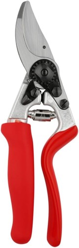 Felco pruning model - pruning,