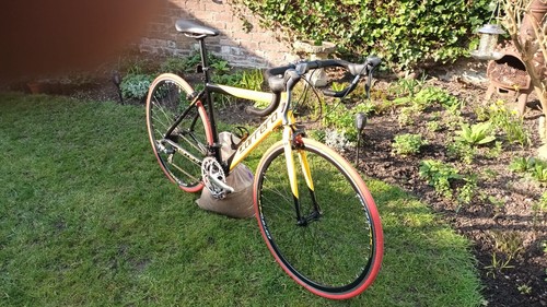 Carrera road bike inch - carrera,