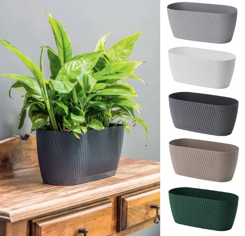 Trough plant pot long - plant,
