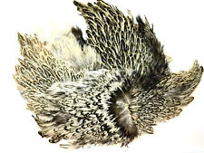 A grade badger hen capes natural colours for craft soft hackles fly fishing tyin