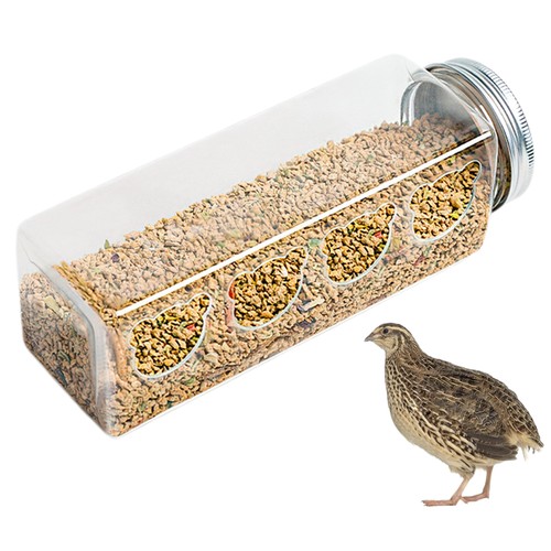Quail feeder mess - mess, chicken