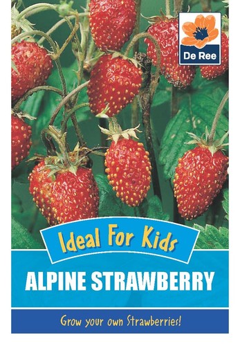 Ree fruit vegetable seeds - fruit,