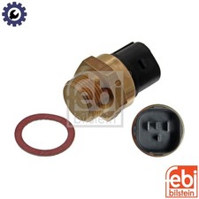 TEMPERATURE SWITCH RADIATOR