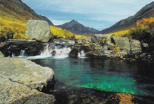 The rosa burn pool - the,