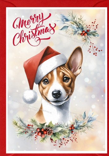 Basenji dog - x, 6")