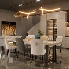 2x Kitchen Dining Chairs Lion
