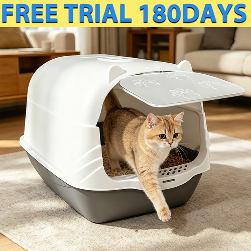 Large cat litter - cat, tray