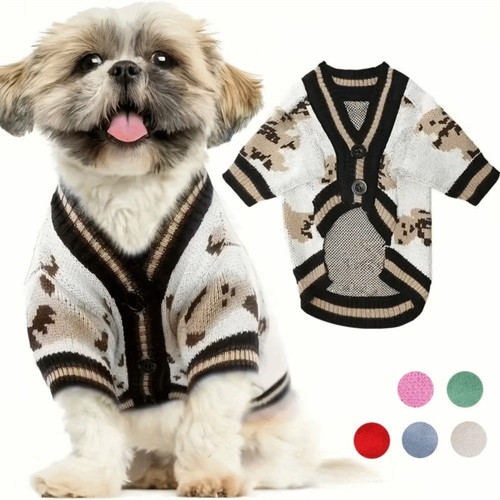 Bear pattren pet dog - bear,