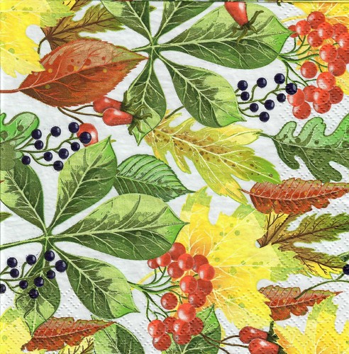 Single paper napkins for - 4, x