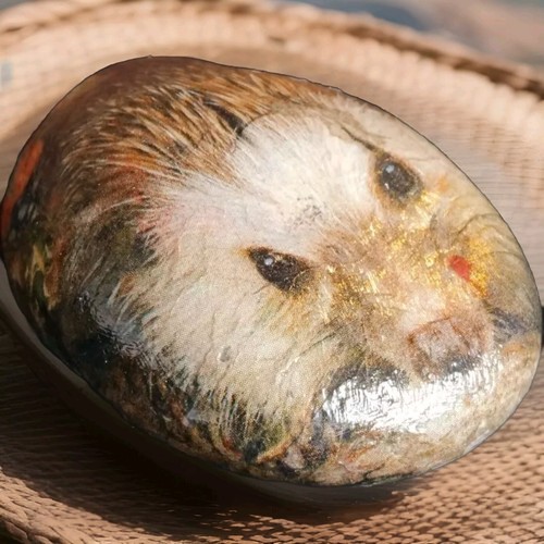 Hedgehog stone