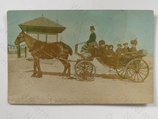 Family Horse Drawn Carriage