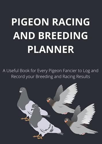 Pigeon racing and - pigeon,
