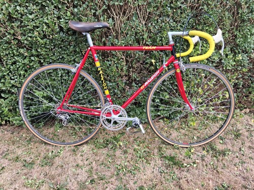Raleigh sbdu 753 team bike - ti,