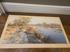 DAVID SHEPHERD Pencil signed