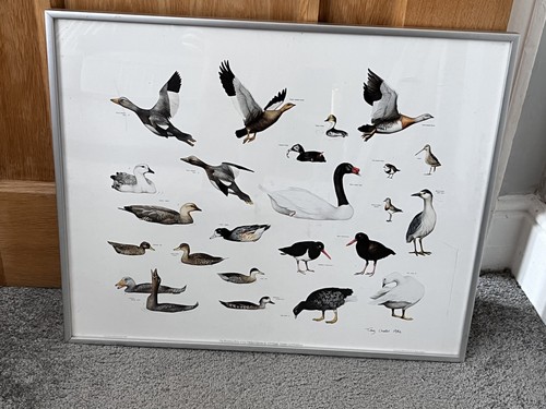 Framed tony chater 1982 - chater, print