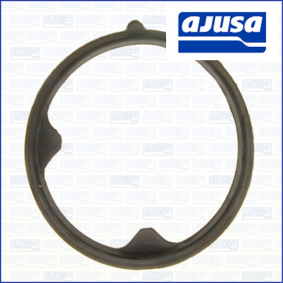 Thermostat gasket aju01110700 - thermostat,