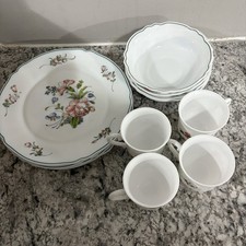Arc ARCOPAL FRANCE DISHWARE