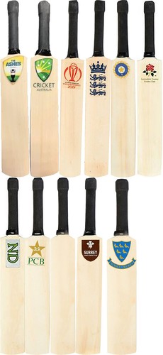 Mini signature cricket bat - mini,