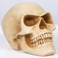 SALE Human Head Sculpture Bone