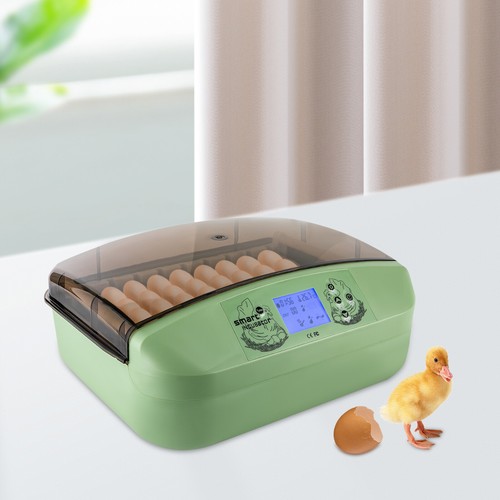 Digital egg incubator - 32,