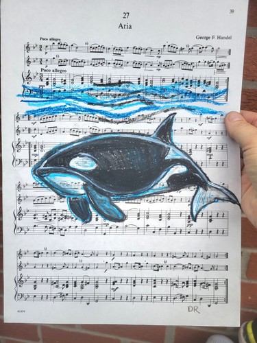 Orca whale original - whale, pastel