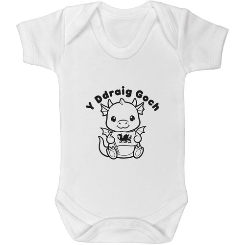Baby welsh dragon - 'baby, dragon'