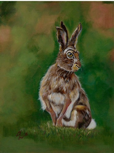Giclee print hare on high - hare,