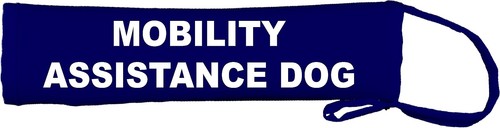 Mobility assistance dog - mobility,