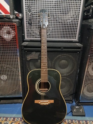 Toledo acoustic guitar - acoustic,