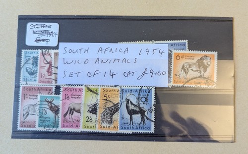 South africa 1954 wild - africa,