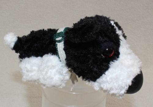 Border collie black white - -black,