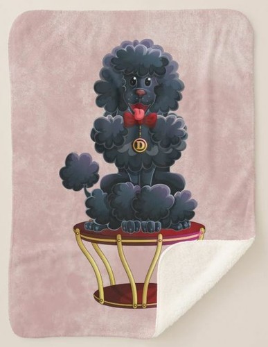Poodle black show dog - #1, breed