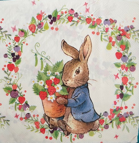 Peter rabbit single - 2,