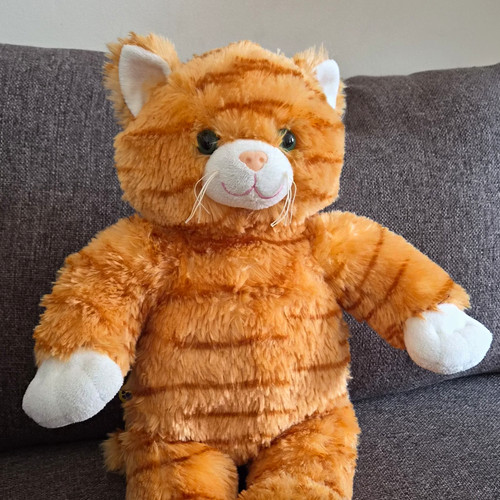 Build bear ginger - a,
