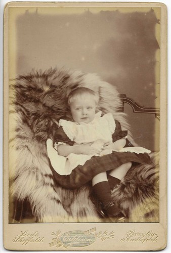 Cabinet card yorks leeds - cabinet,