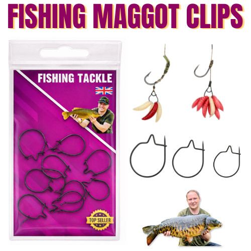 Maggot clips carp fishing - maggot,