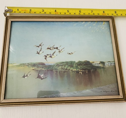 Vernon ward framed - ward, print