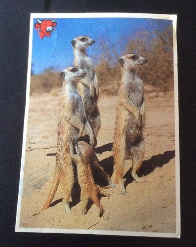 Unusual friends the - of,