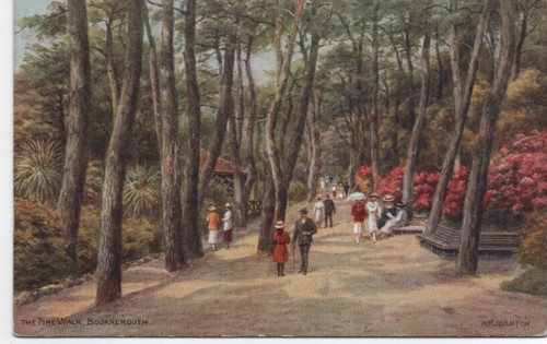 Old postcard bournemouth - postcard, pine