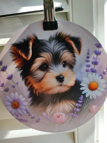 Teacup yorkshire terrier with