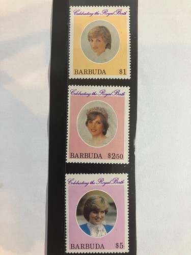 Princess diana celebrating the - diana,