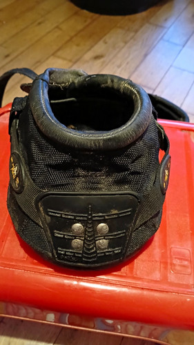 Old mac black horse hoof - g2,